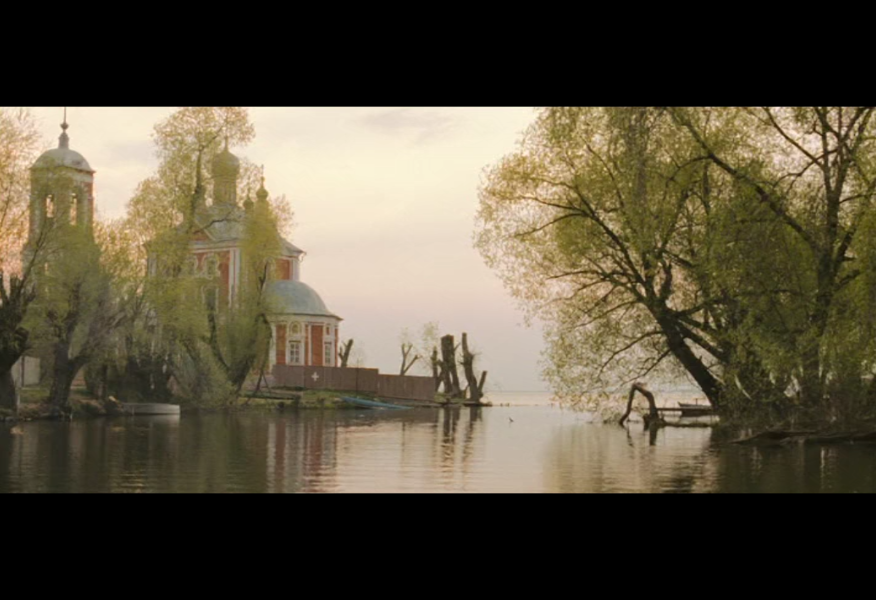 和家庭动物旅行剧照的剧照