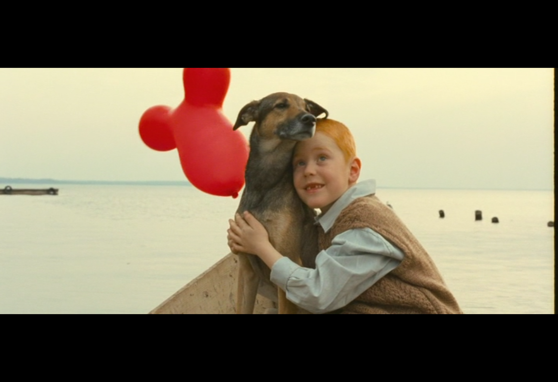 和家庭动物旅行剧照的剧照