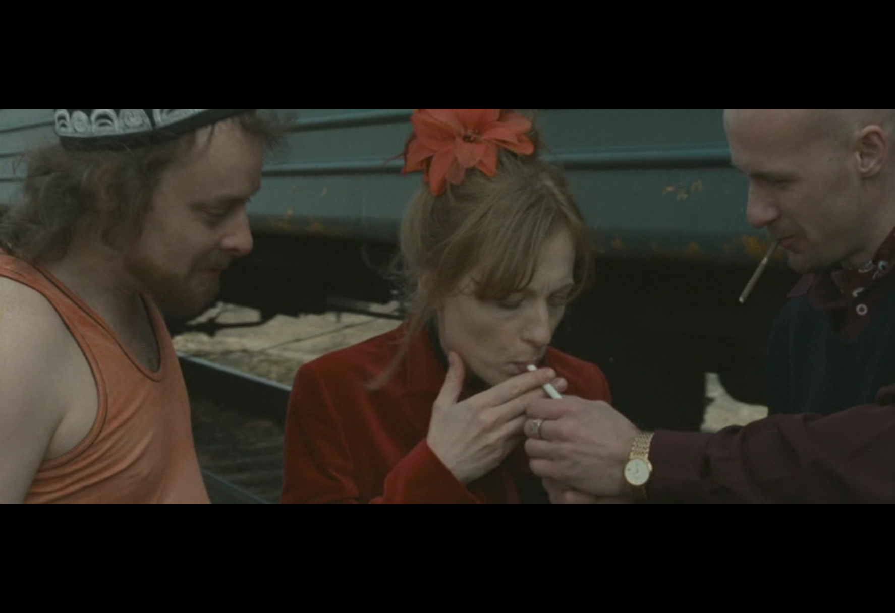 和家庭动物旅行剧照的剧照