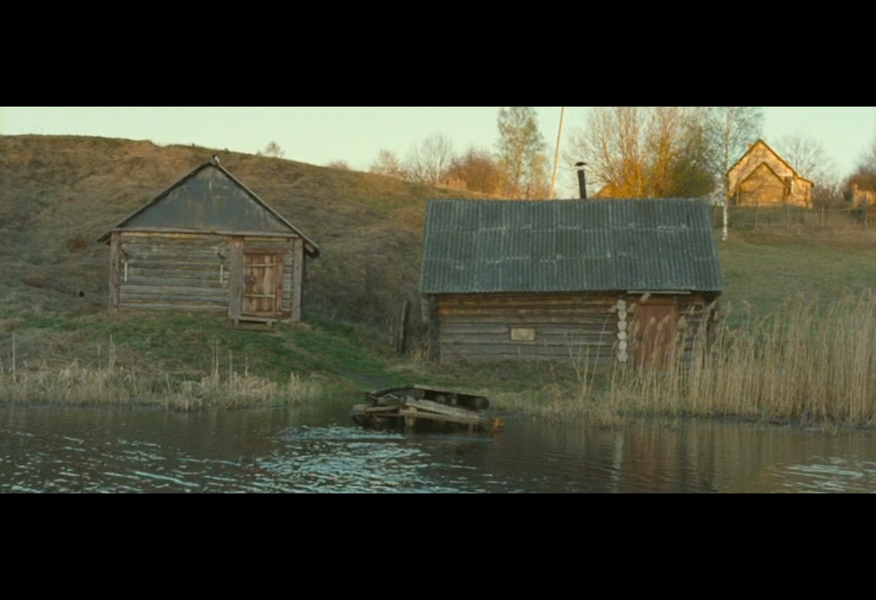 和家庭动物旅行剧照的剧照