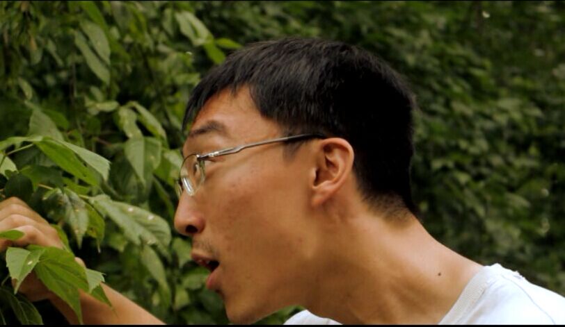 辣妈大战僵尸剧照的剧照