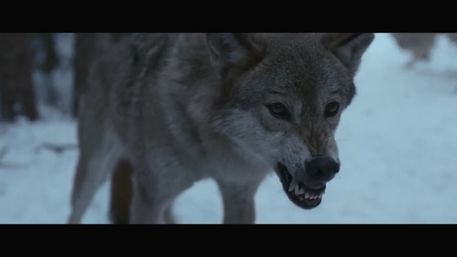 飞行员剧照的剧照