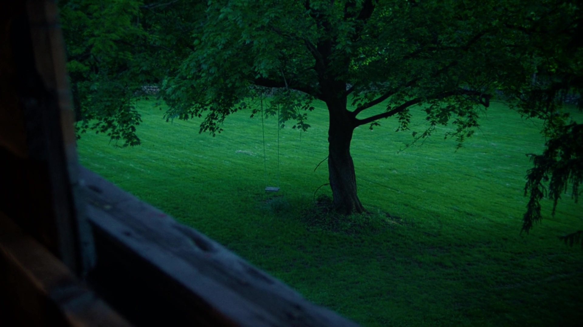 杨之后剧照的剧照