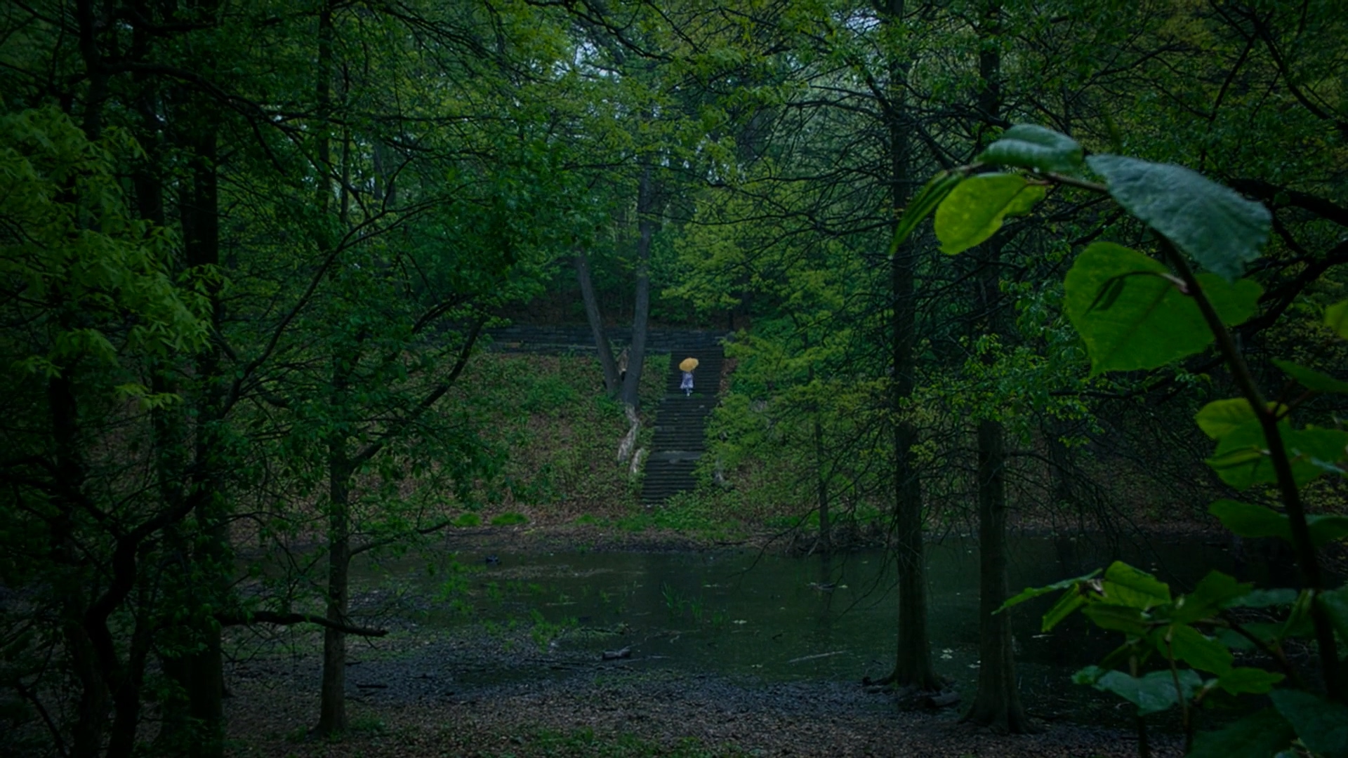 杨之后剧照的剧照