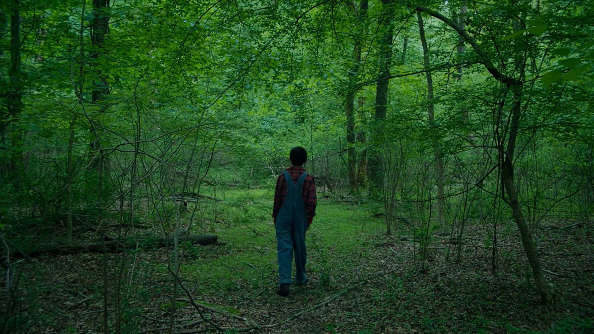 杨之后剧照的剧照