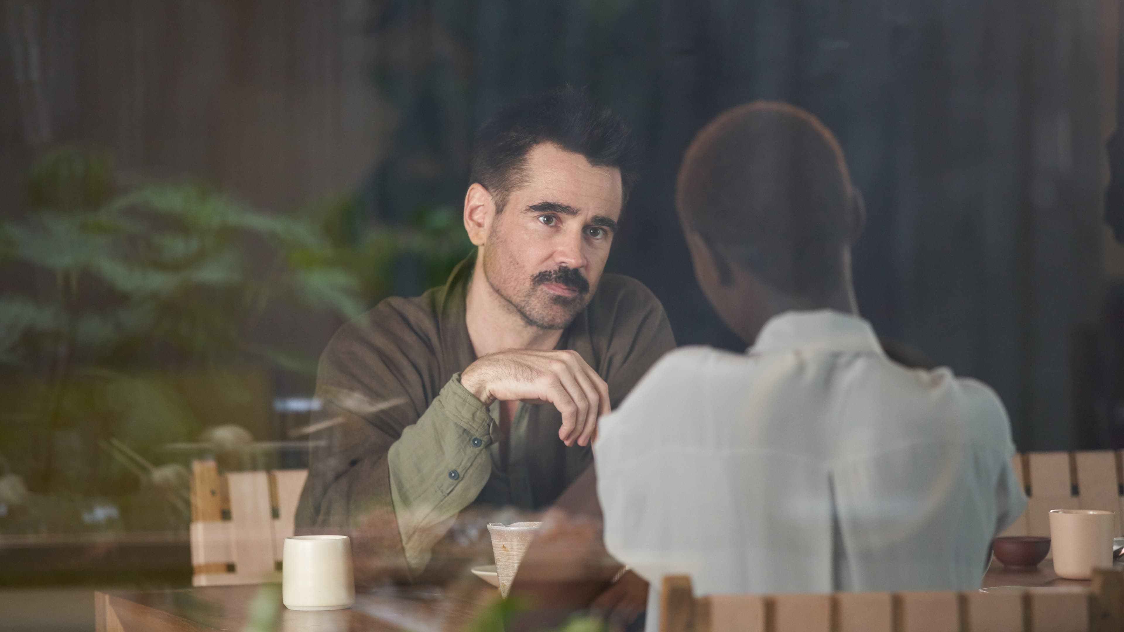 杨之后剧照的剧照