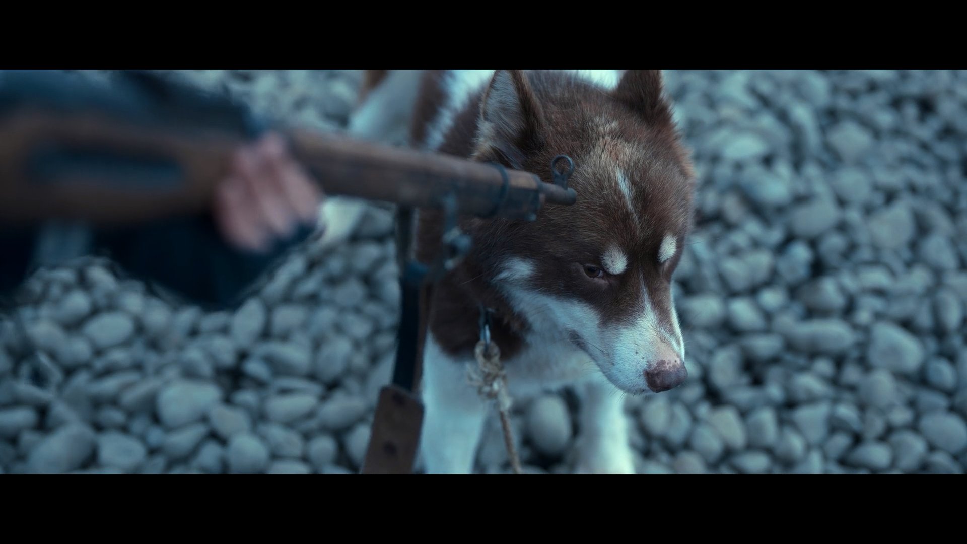 逆冰之行剧照的剧照