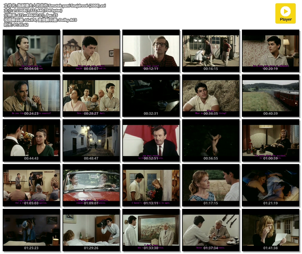 施耐德夫人的悲伤剧照的剧照