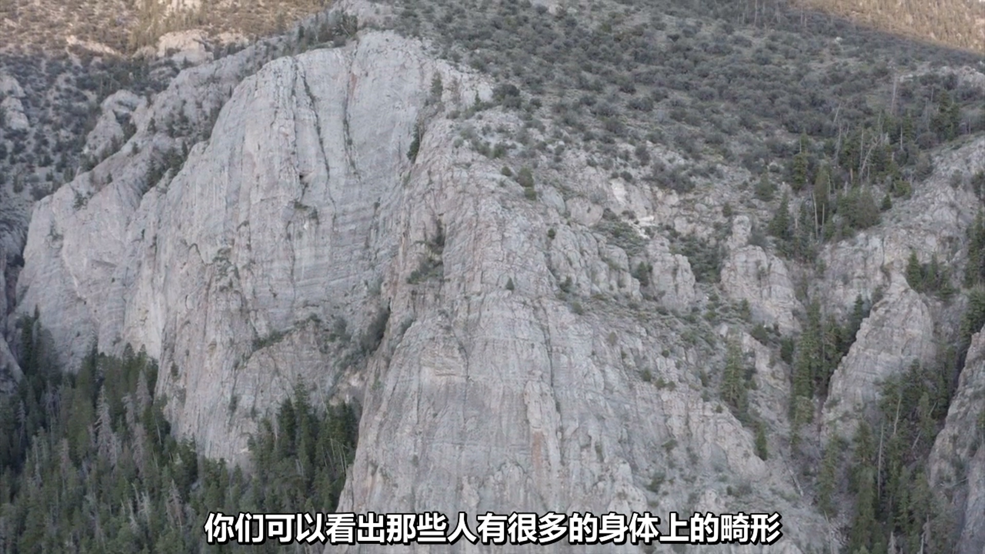 迷失内华达剧照的剧照