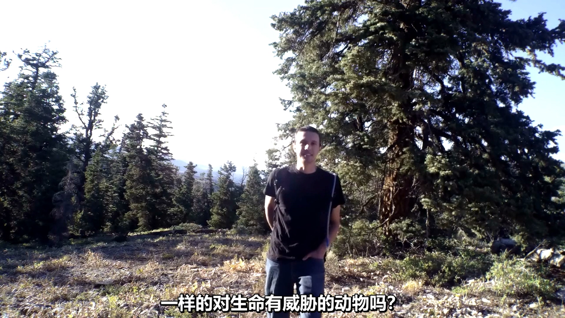 迷失内华达剧照的剧照