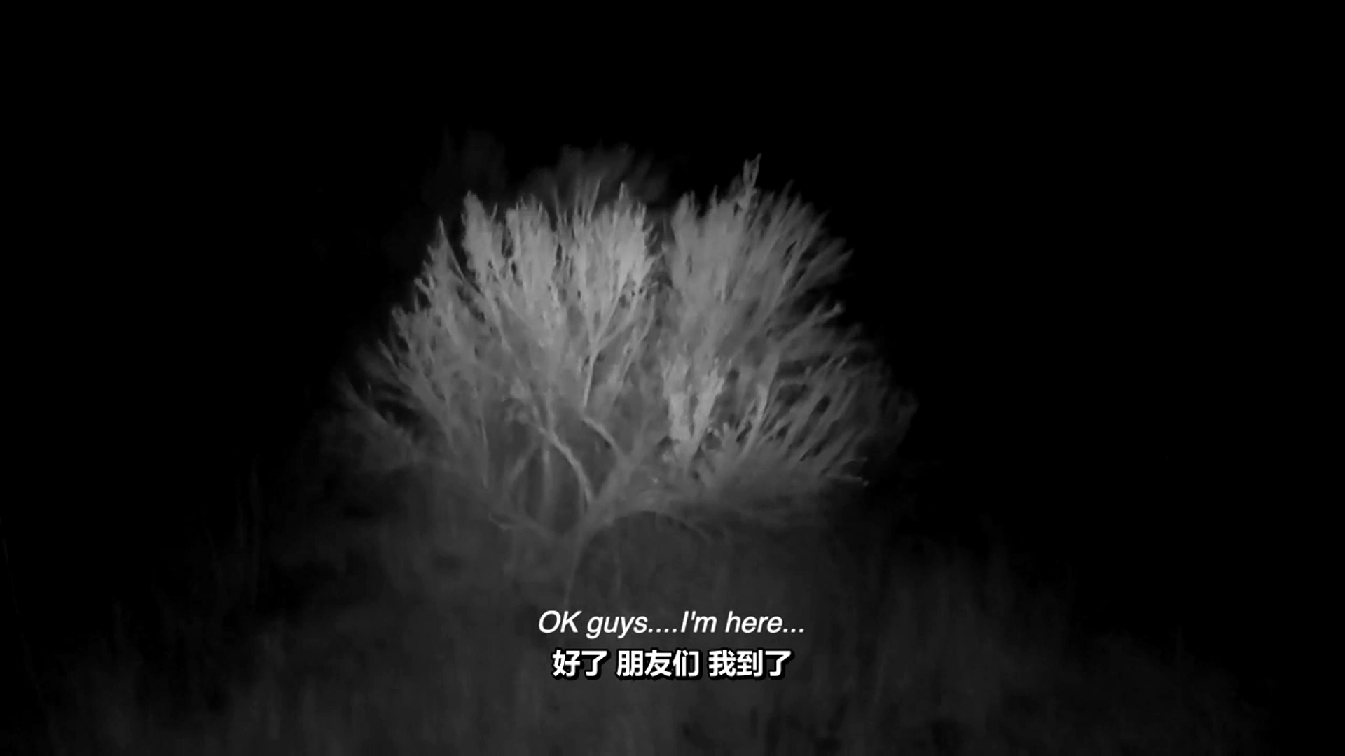 迷失内华达剧照的剧照