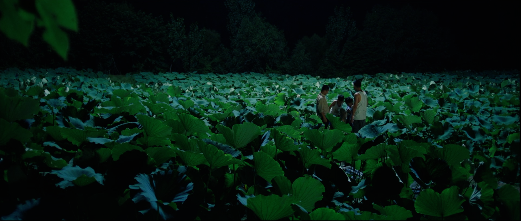 暑期何漫漫剧照的剧照