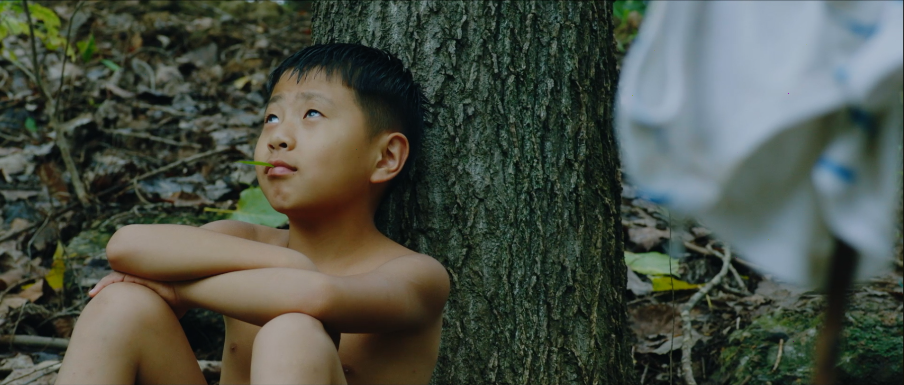 暑期何漫漫剧照的剧照