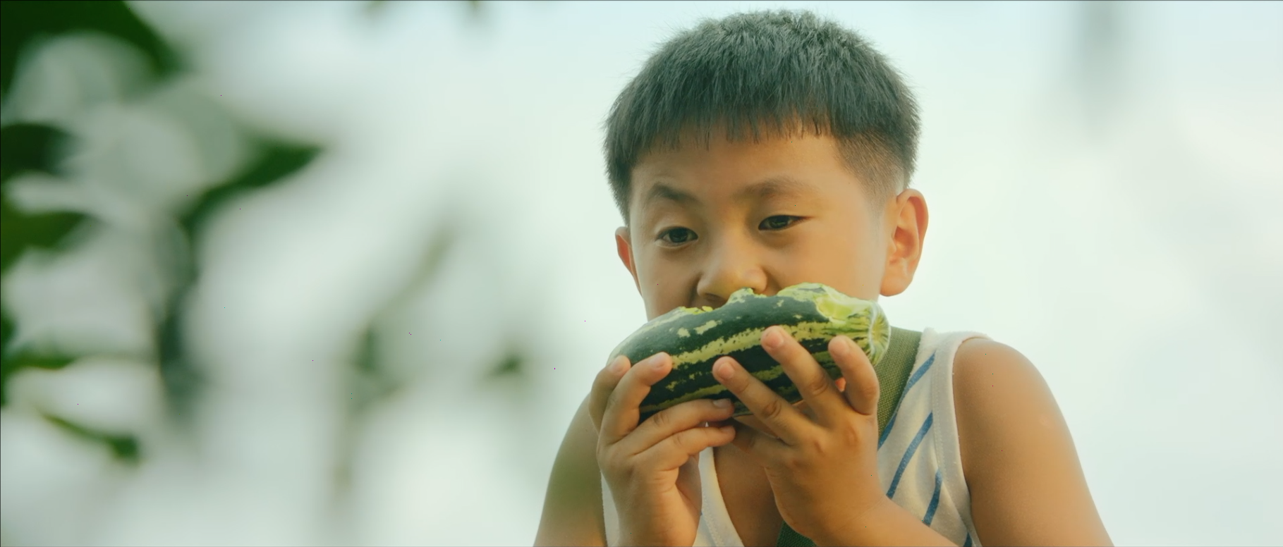 暑期何漫漫剧照的剧照