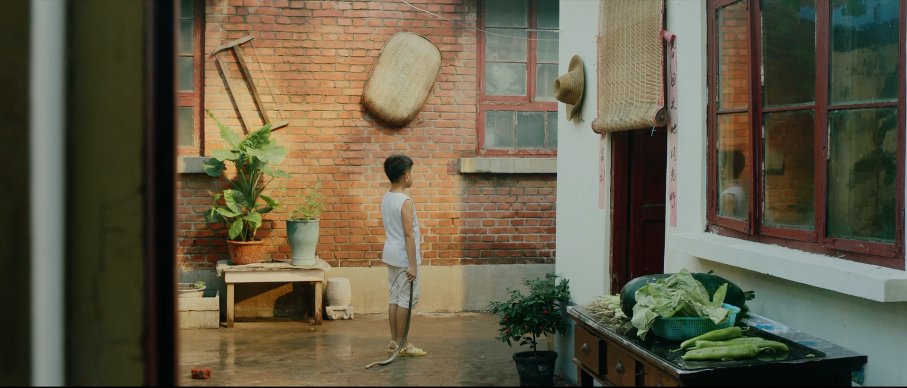 暑期何漫漫剧照的剧照