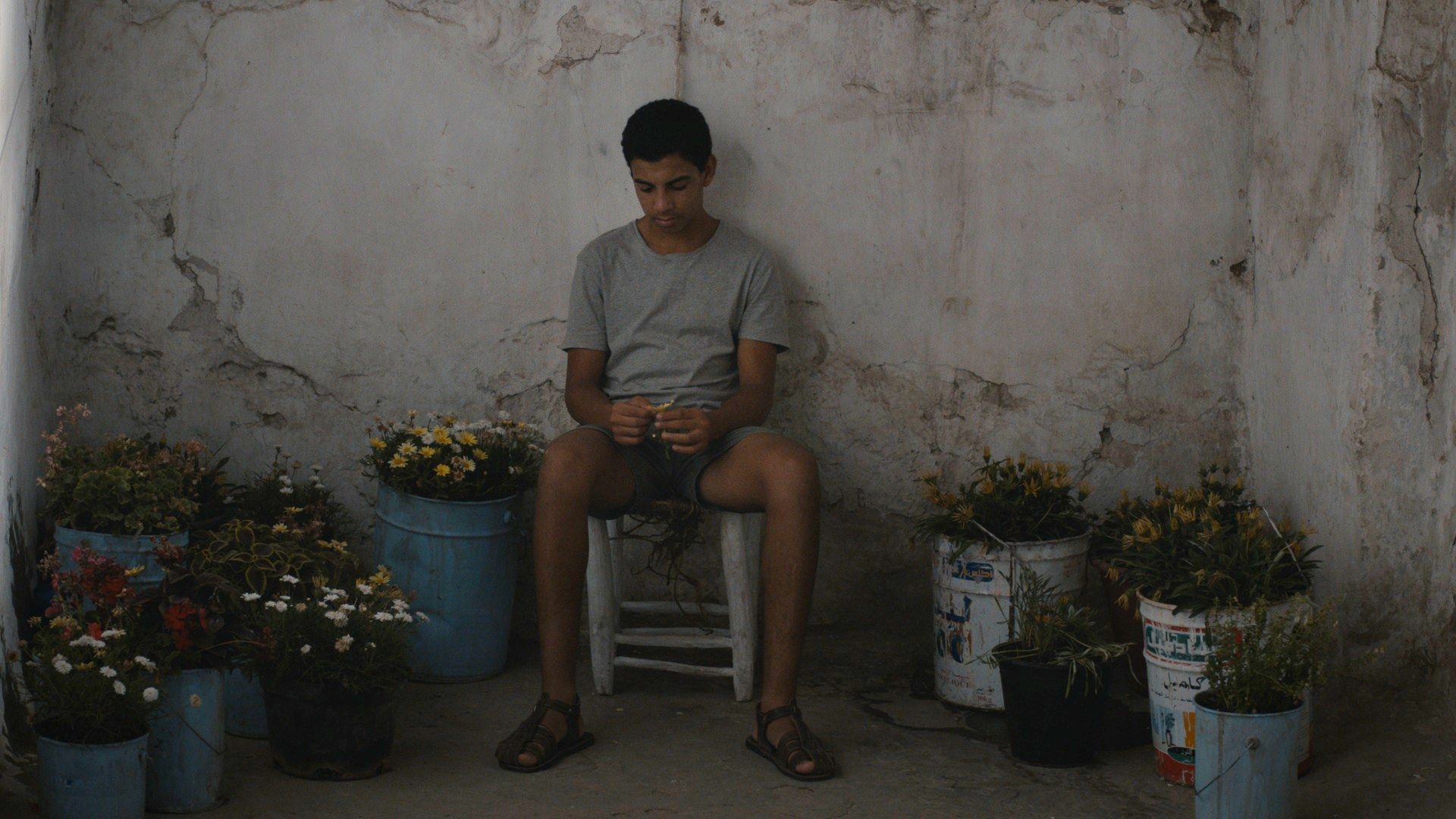 救世军剧照的剧照