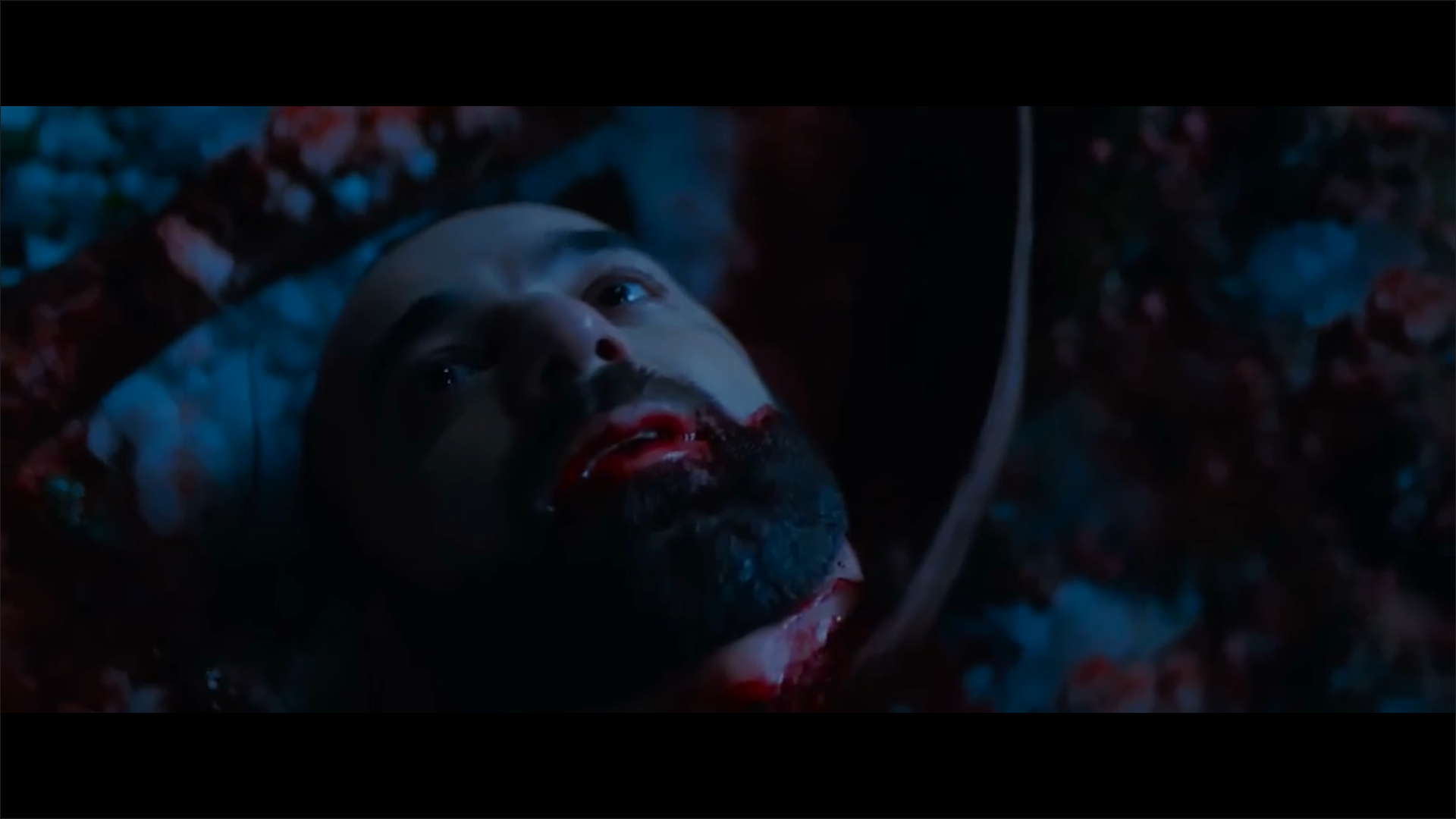 相机惊魂剧照的剧照