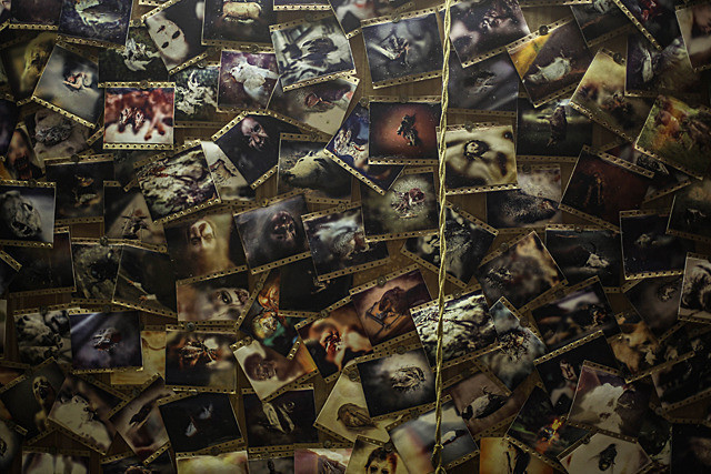 相机惊魂剧照的剧照