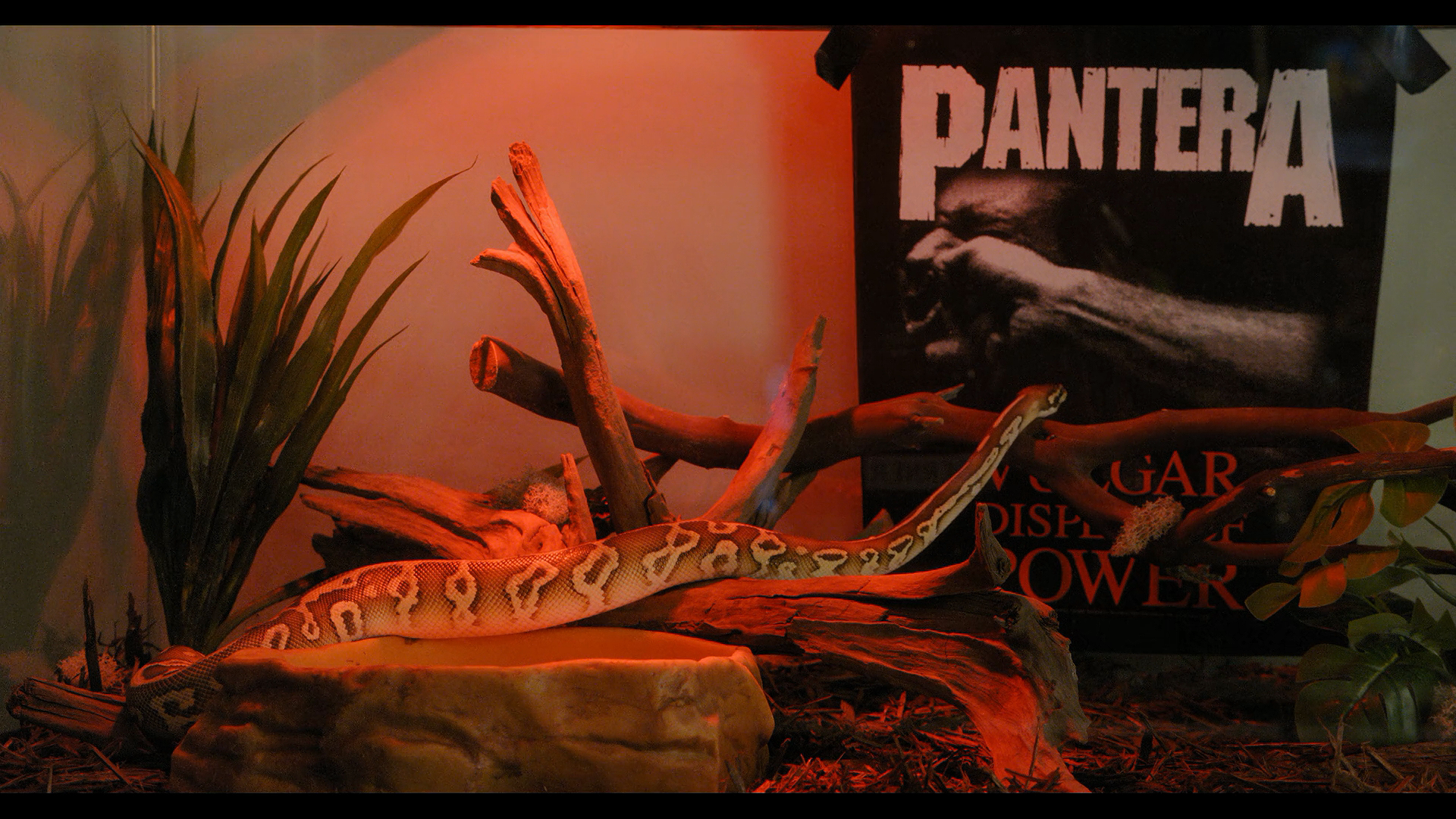 金属霸主剧照的剧照