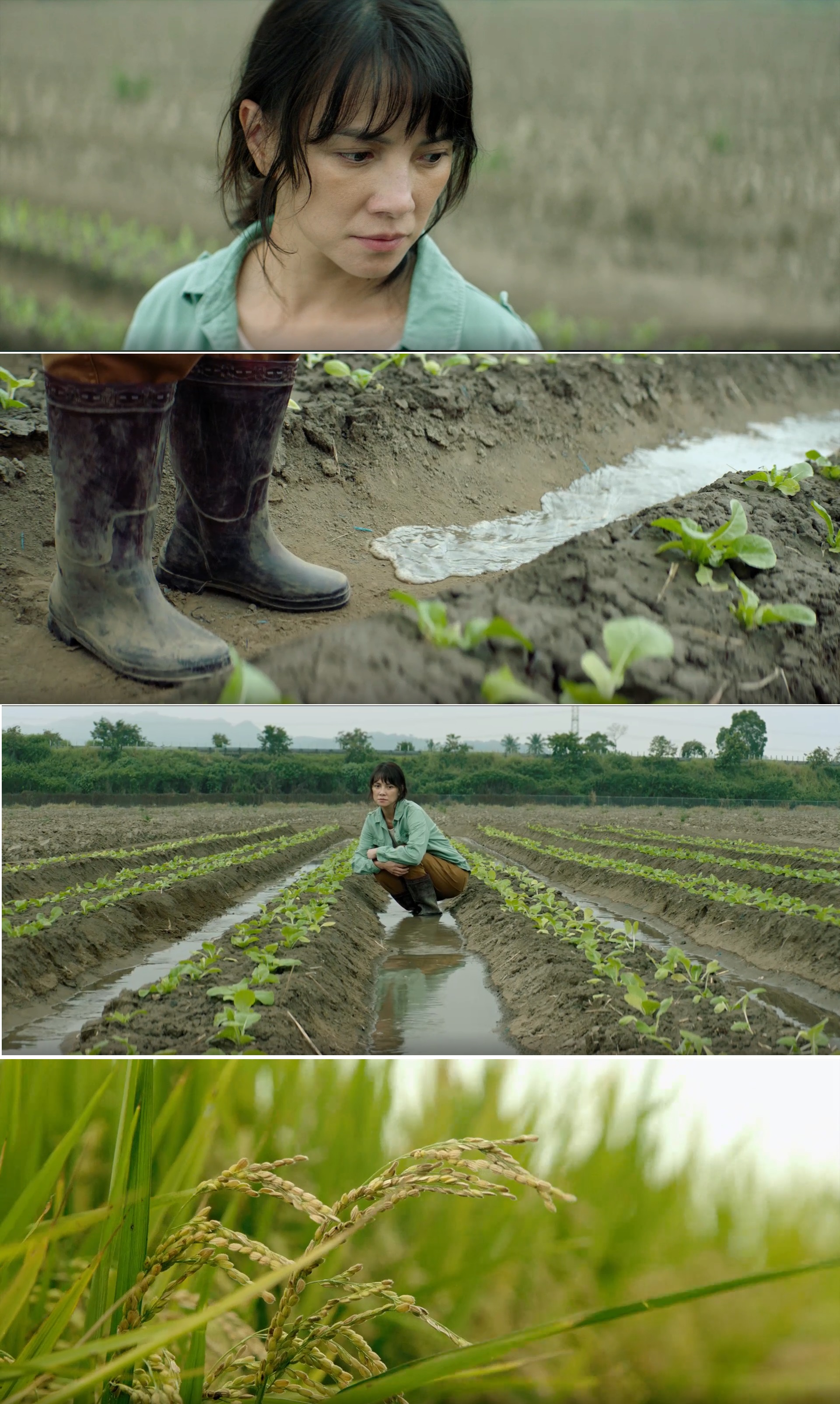 鳄鱼剧照的剧照