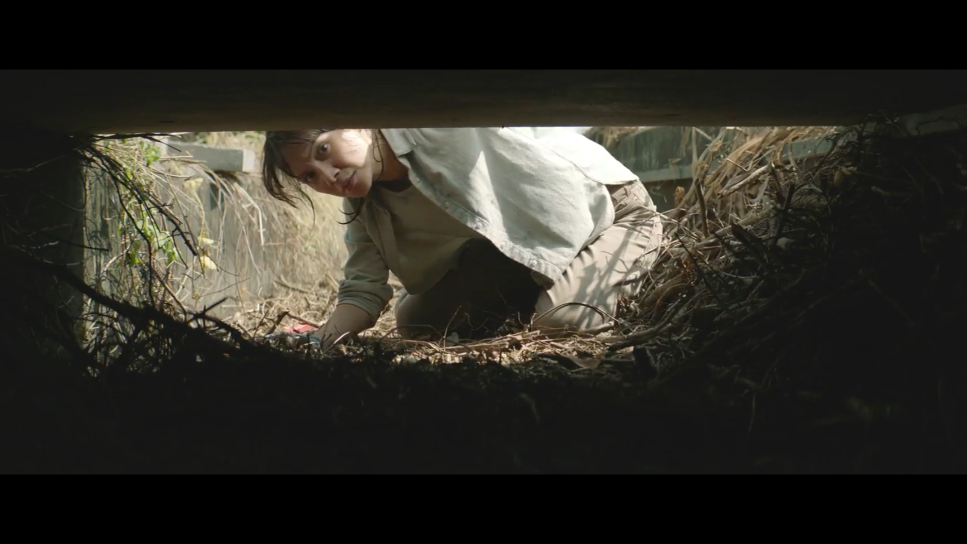 鳄鱼剧照的剧照