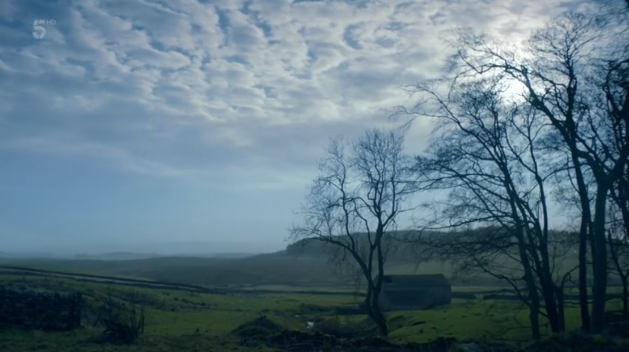 万物生灵：2020圣诞特别集剧照的剧照