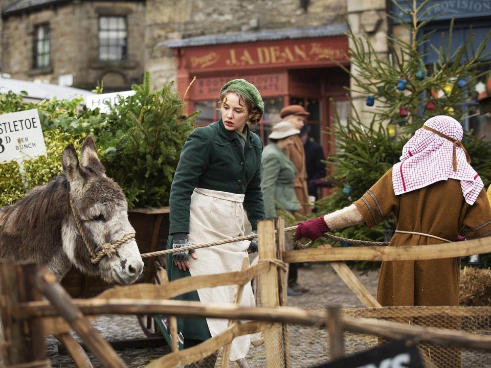 万物生灵：2020圣诞特别集剧照的剧照