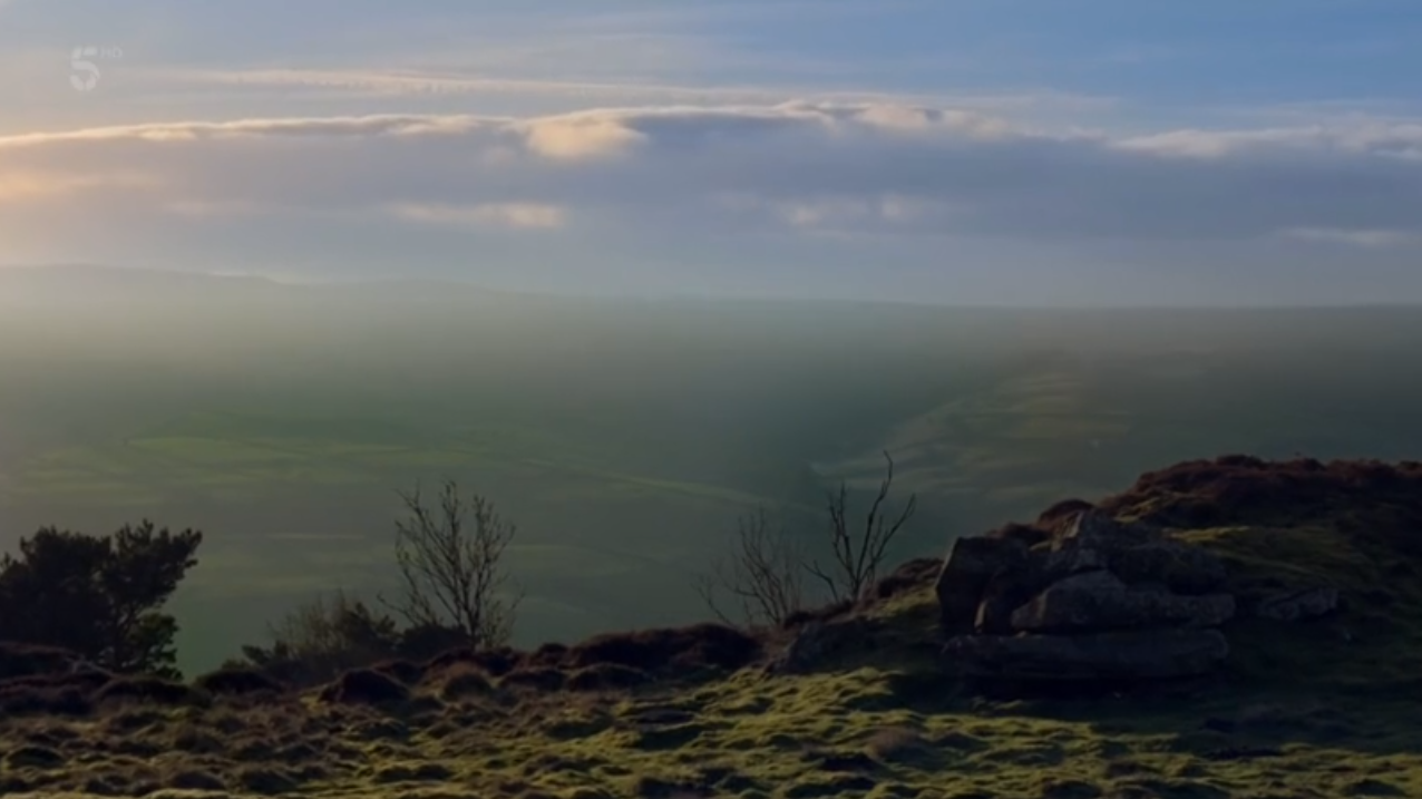 万物生灵：2020圣诞特别集剧照的剧照