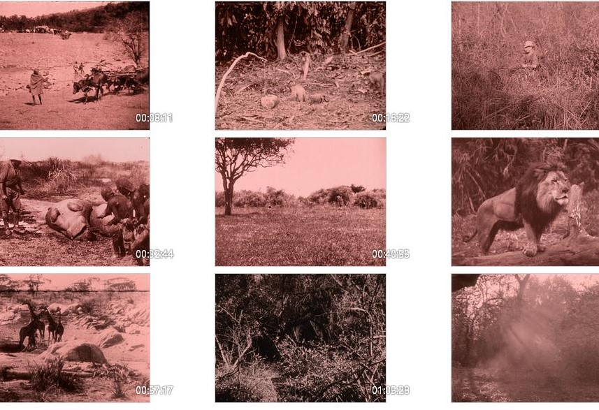 兽世界剧照的剧照