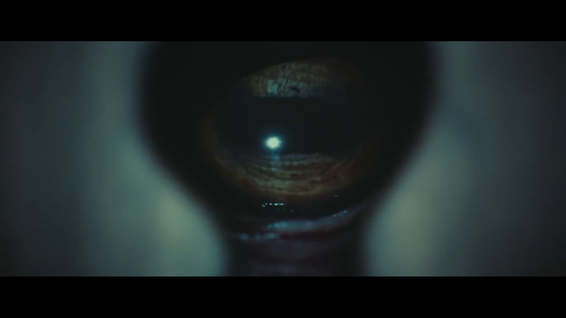 恐怖地窖剧照的剧照