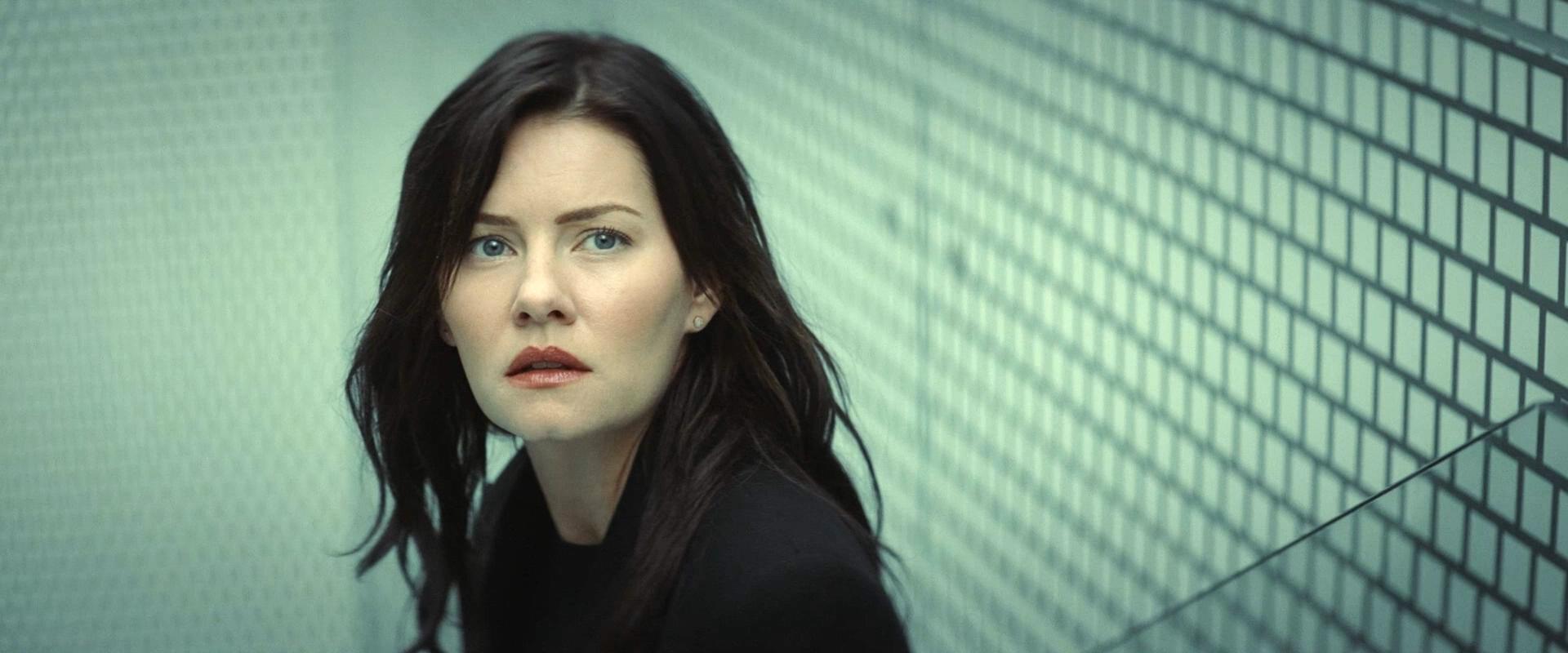 恐怖地窖剧照的剧照