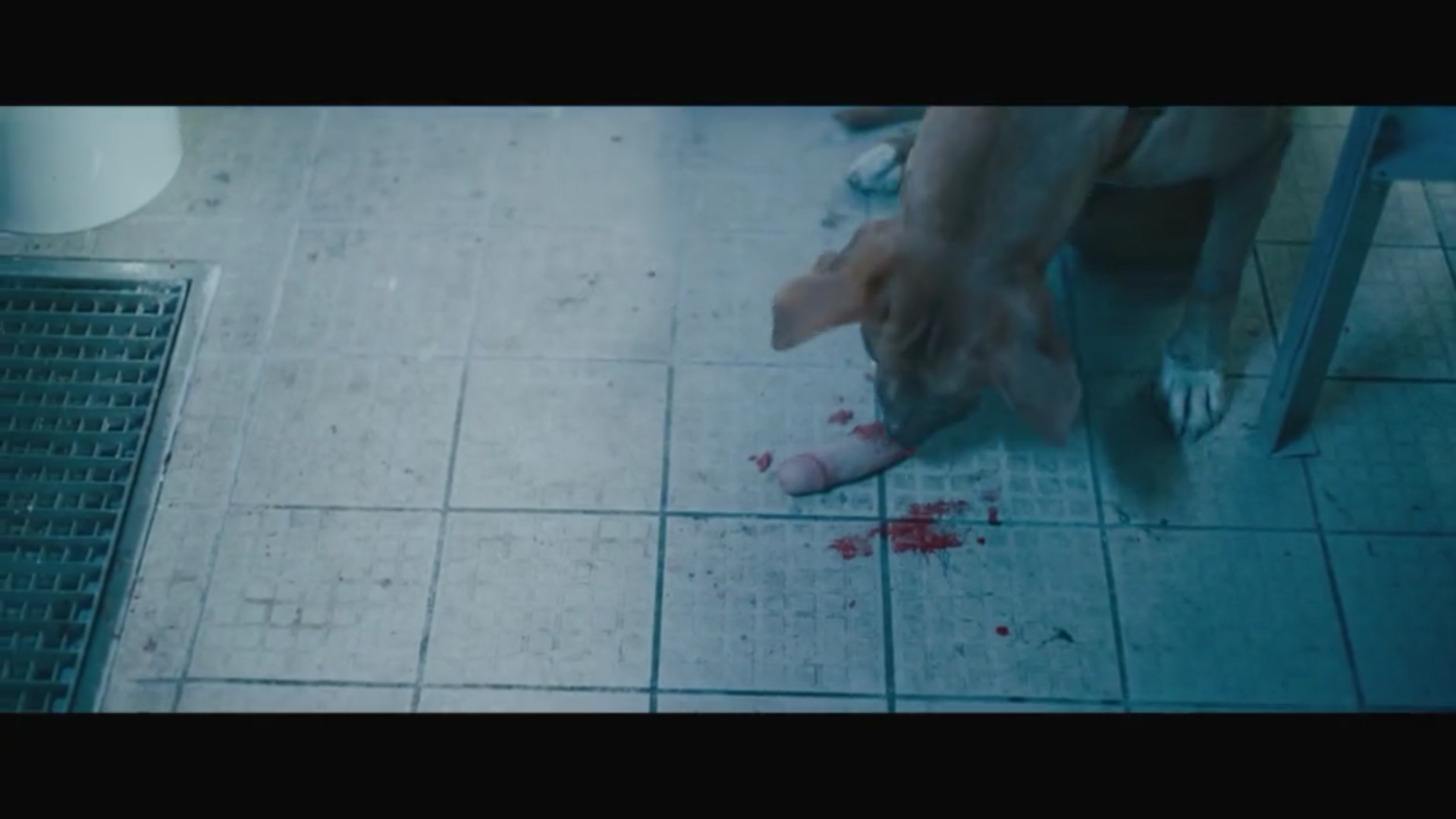 肉罢不能剧照的剧照