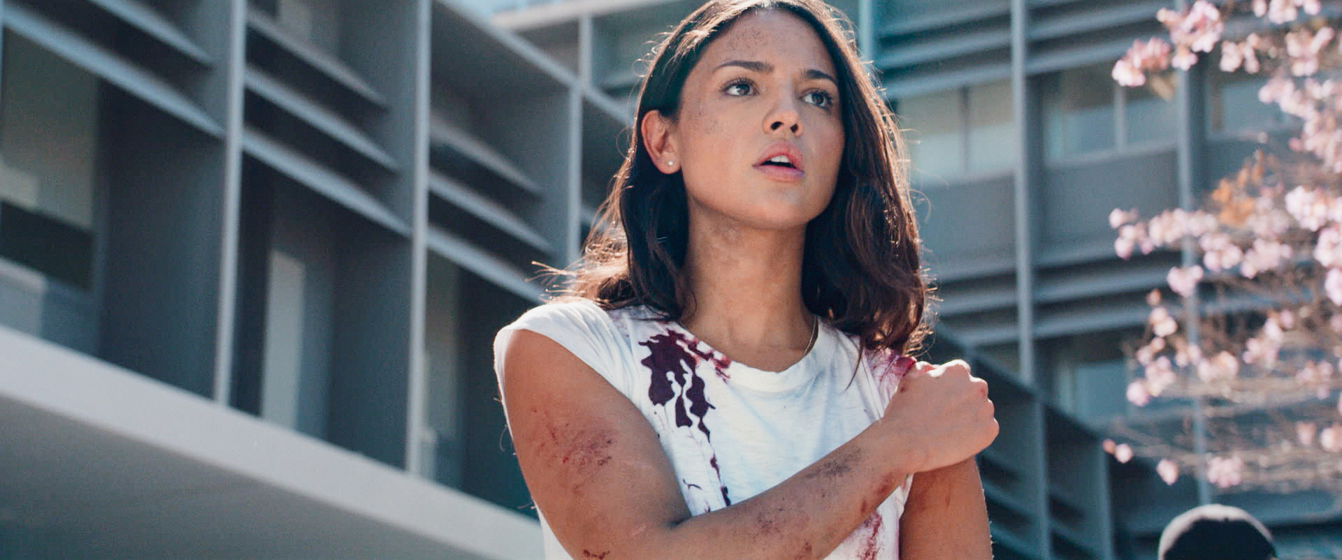 亡命救护车剧照的剧照