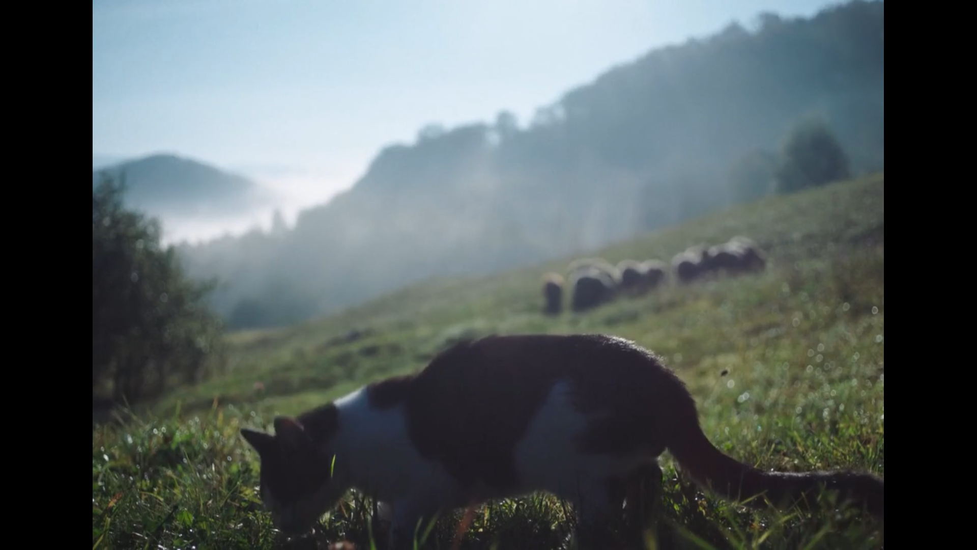 你将不再孤单剧照的剧照