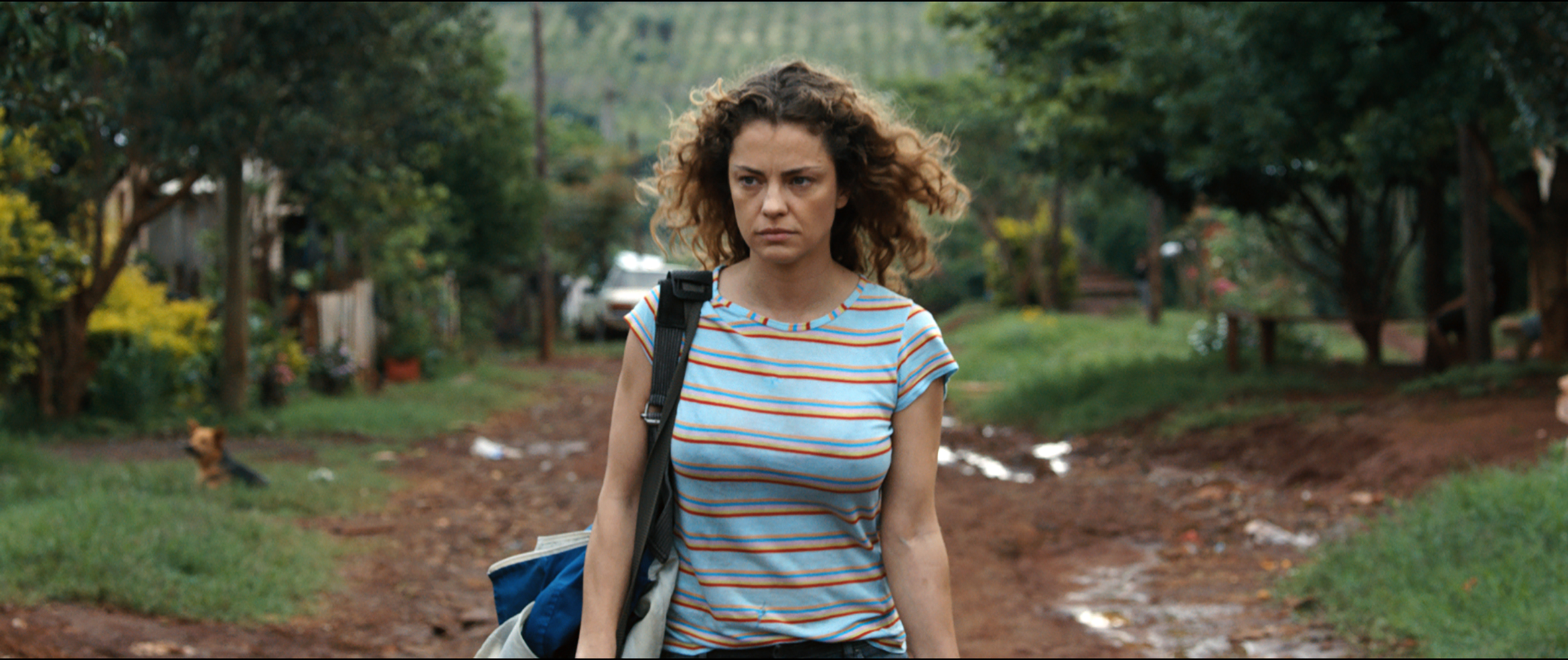 帮派剧照的剧照