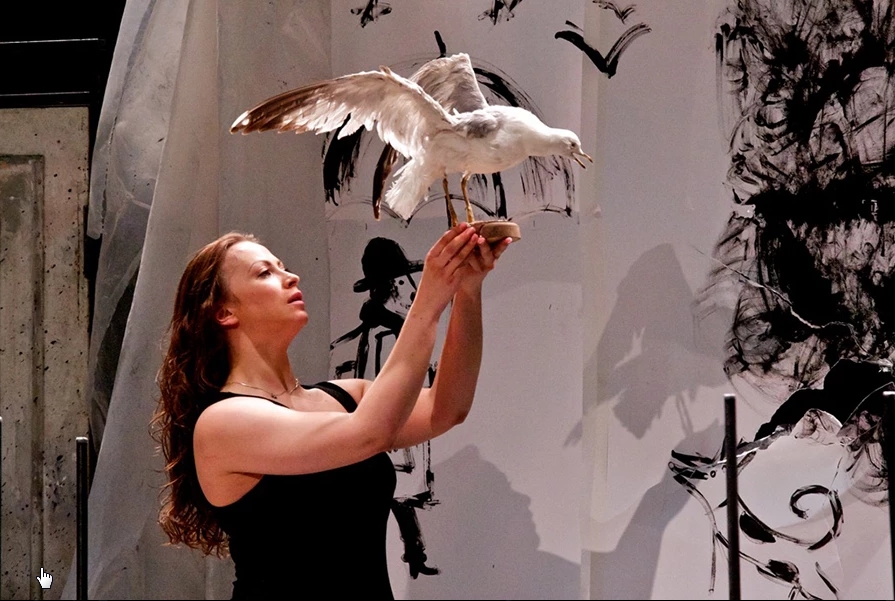 海鸥剧照的剧照