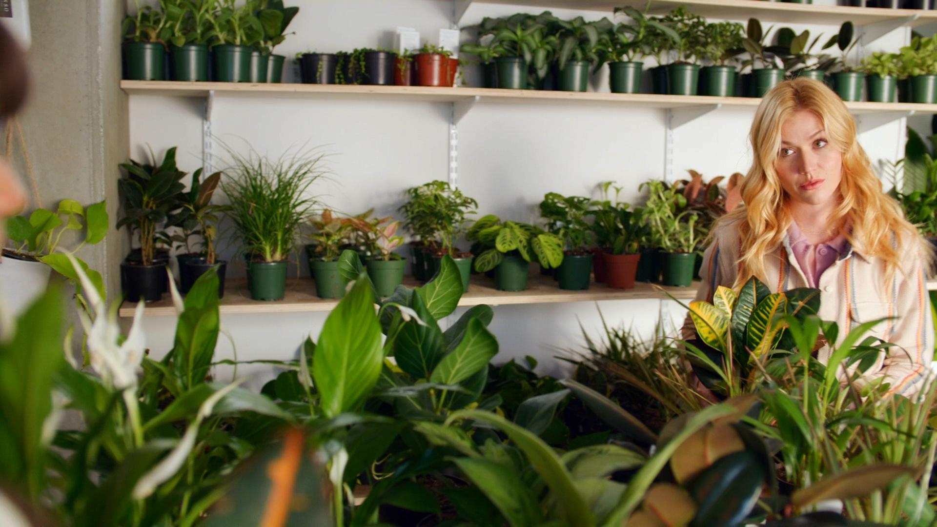 爱意，绽放剧照的剧照