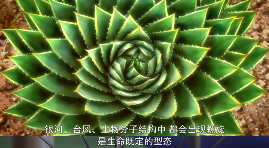 泡泡剧照的剧照