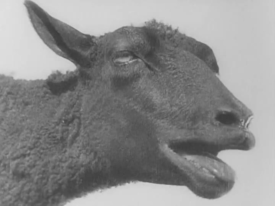 总路线剧照的剧照