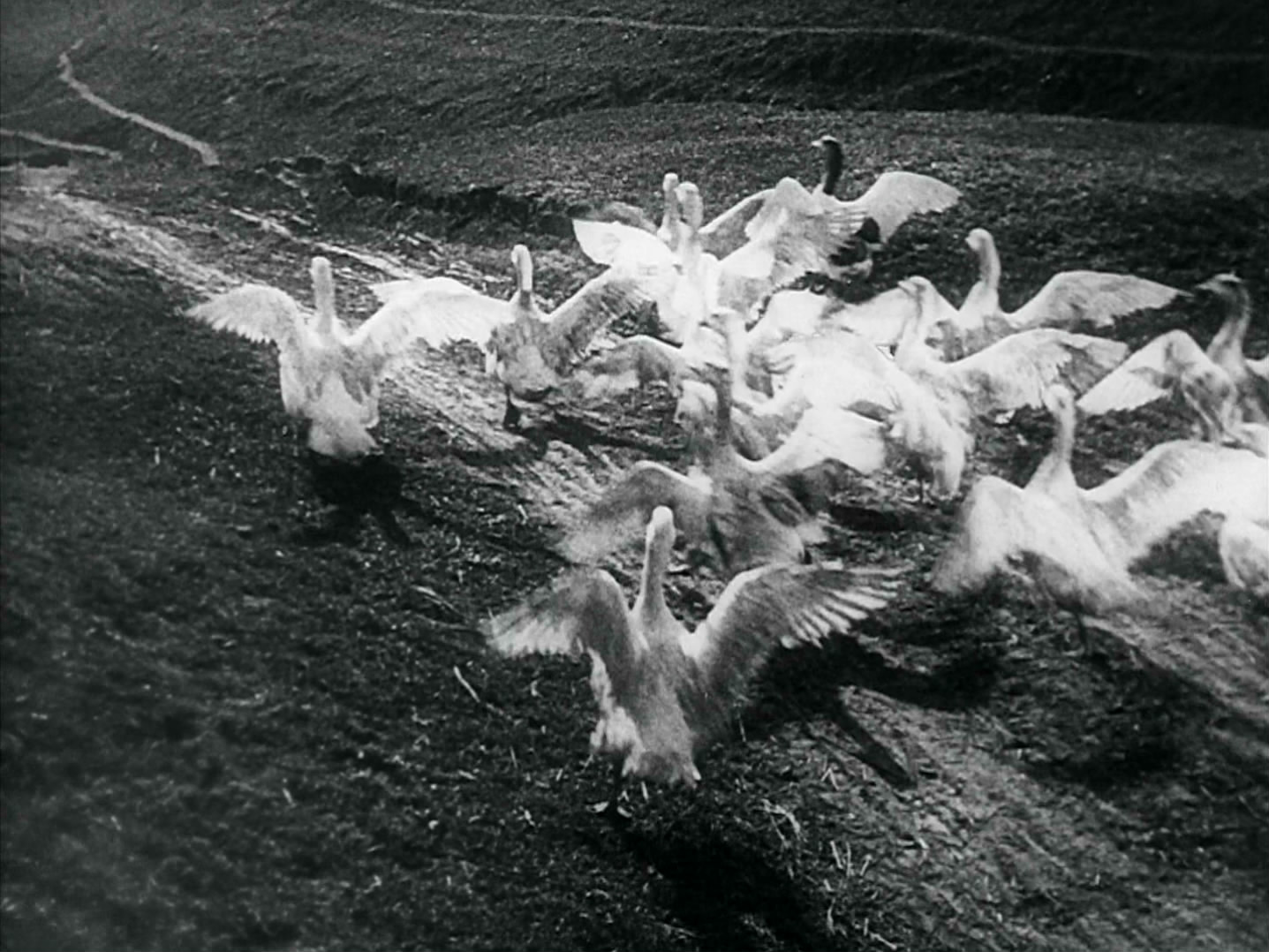 总路线剧照的剧照