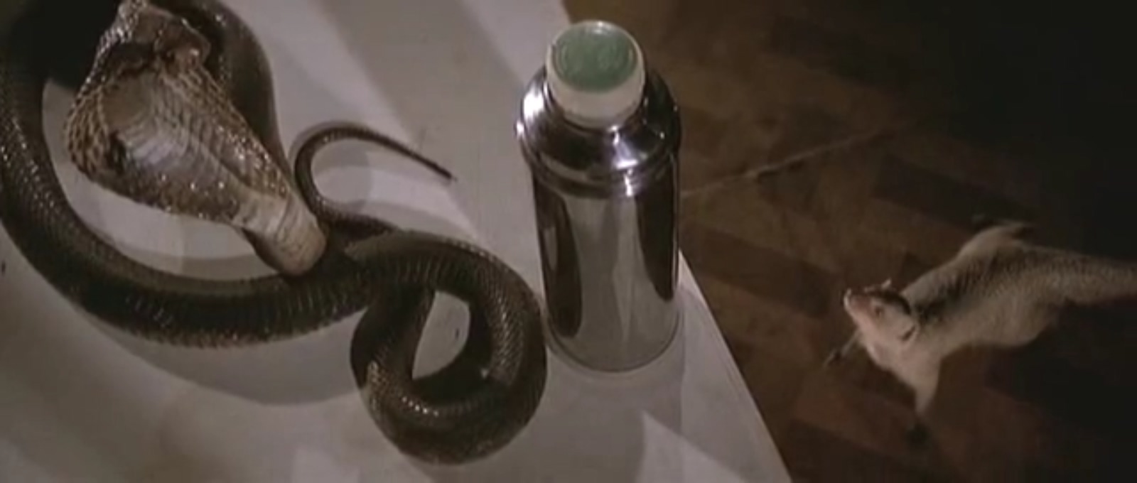 人蛇鼠剧照的剧照