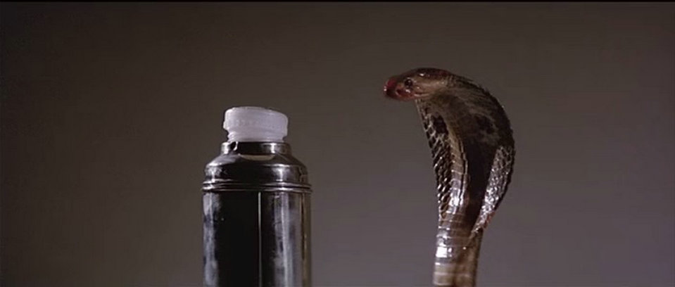 人蛇鼠剧照的剧照