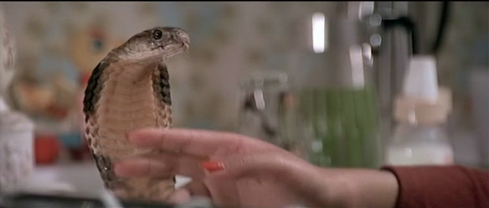 人蛇鼠剧照的剧照