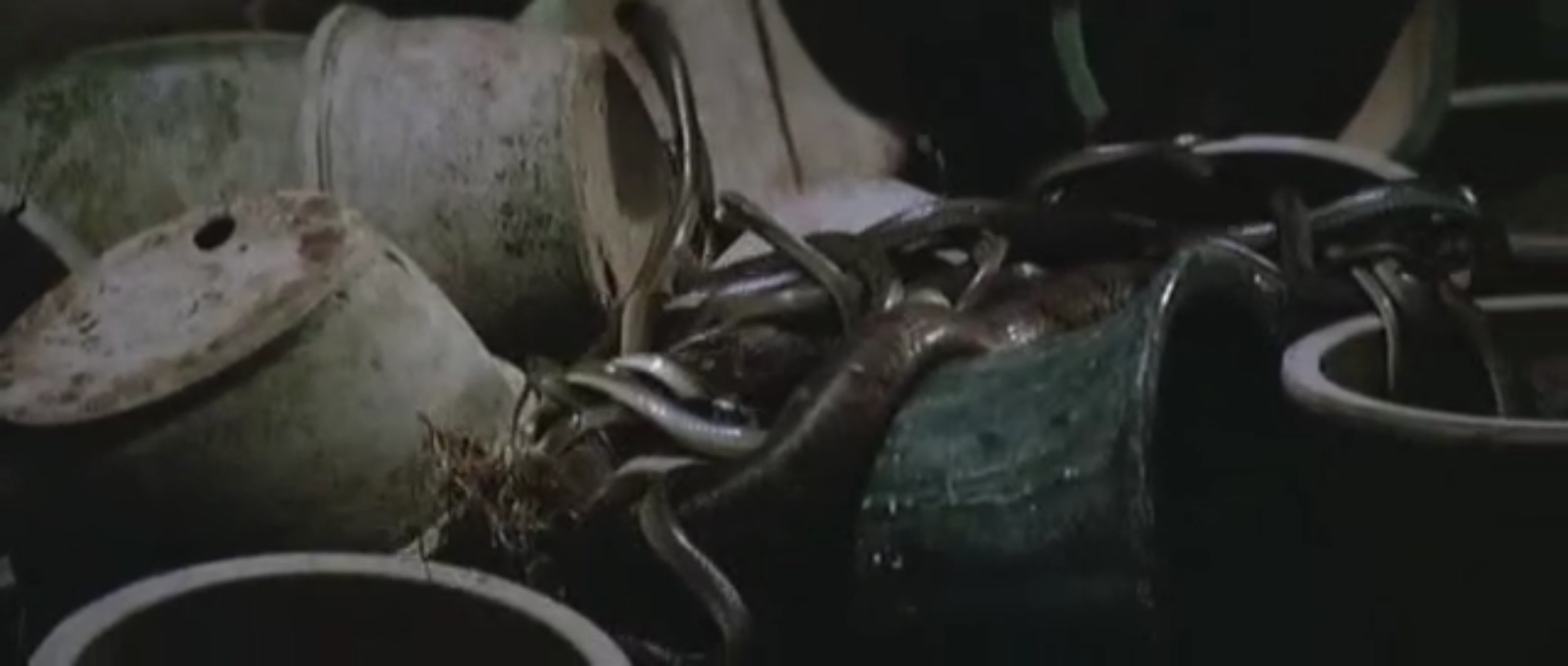 人蛇鼠剧照的剧照