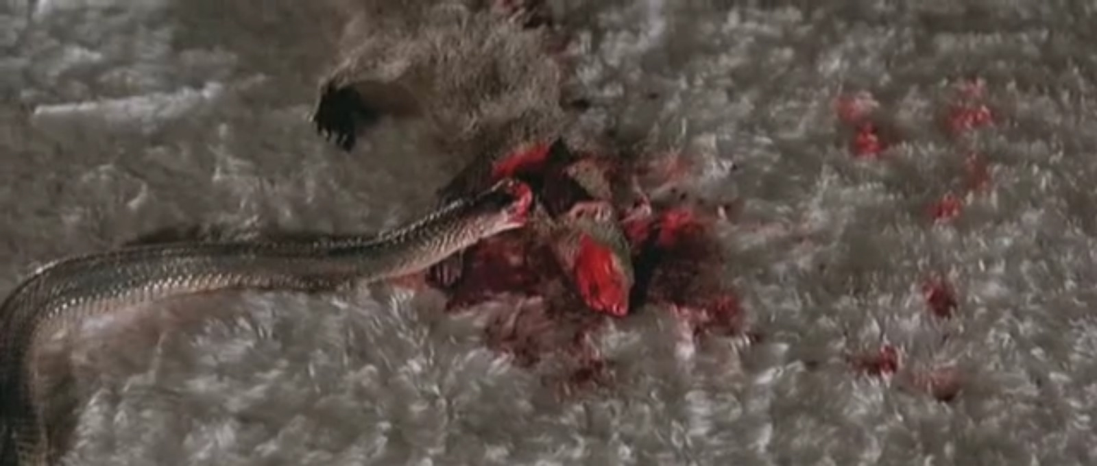 人蛇鼠剧照的剧照