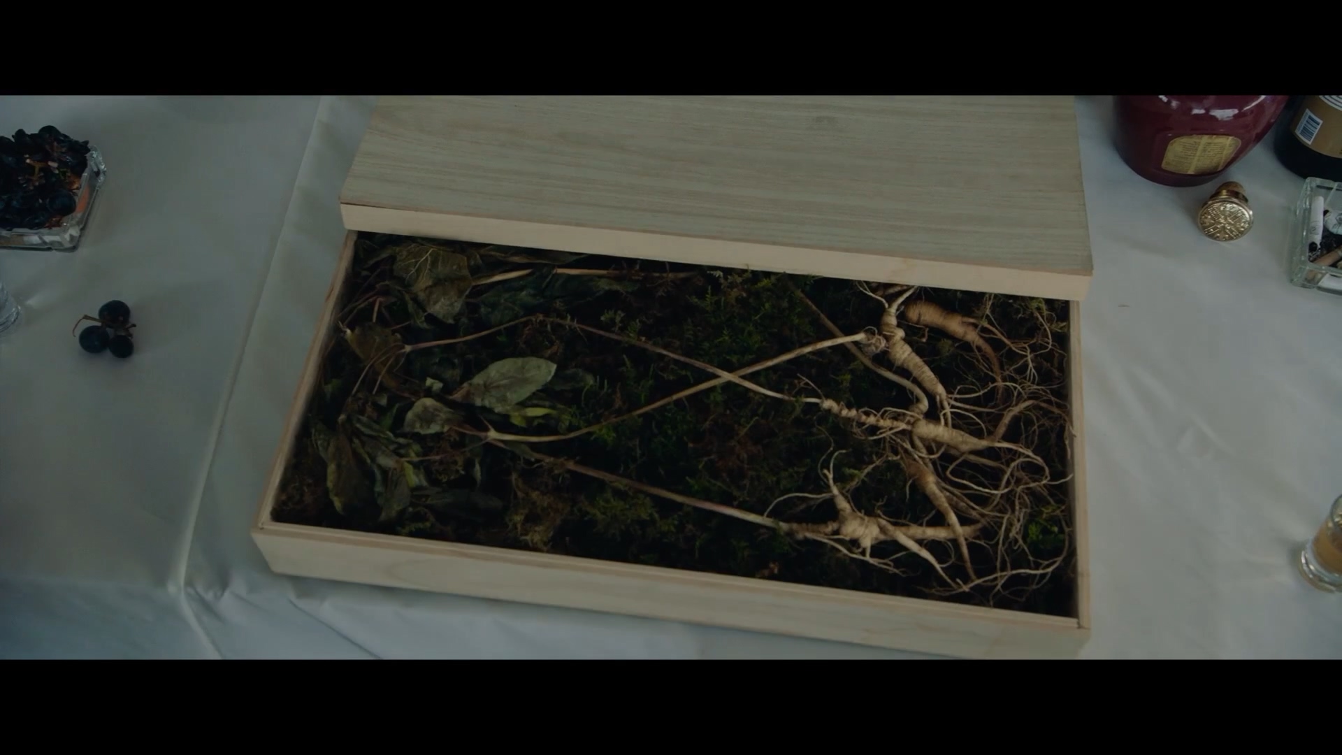 热血剧照的剧照