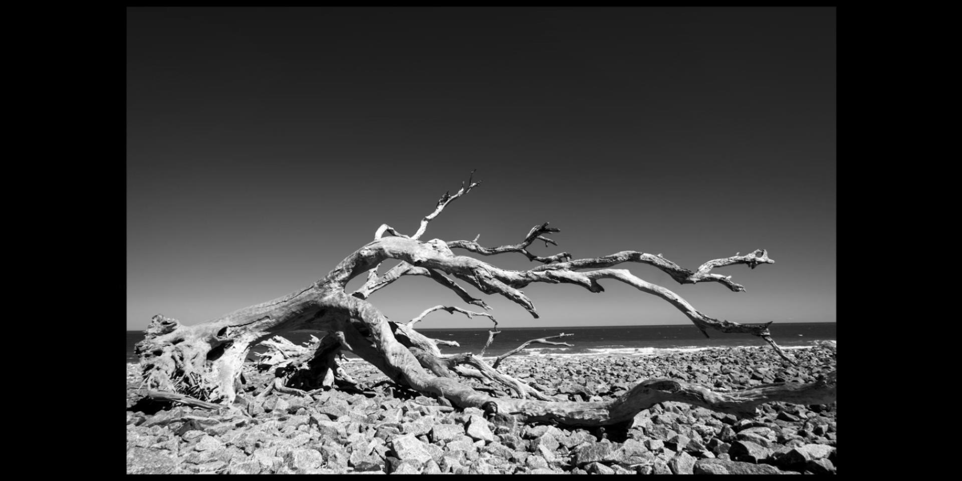 生死之间剧照的剧照