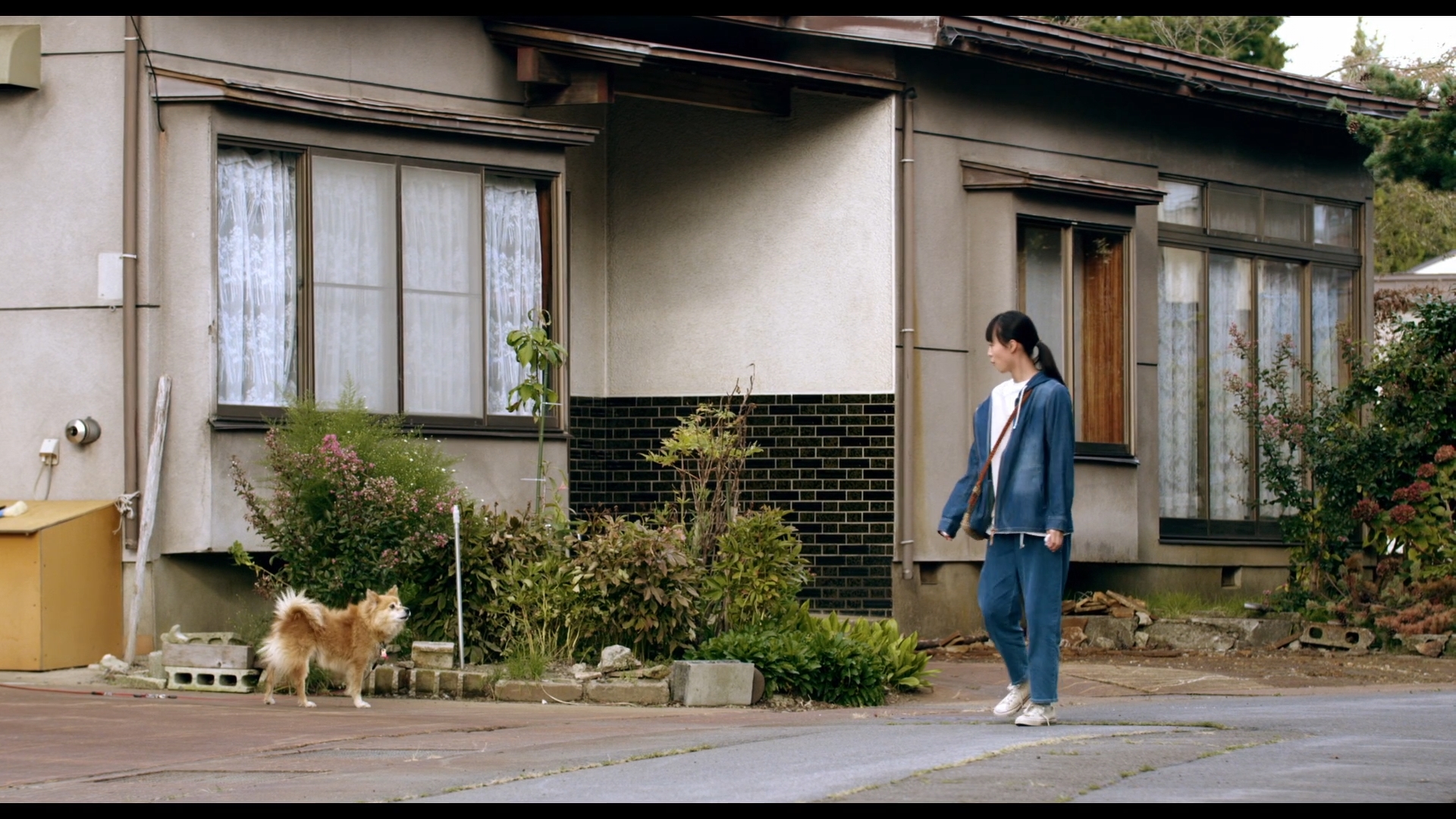 琴茧剧照的剧照