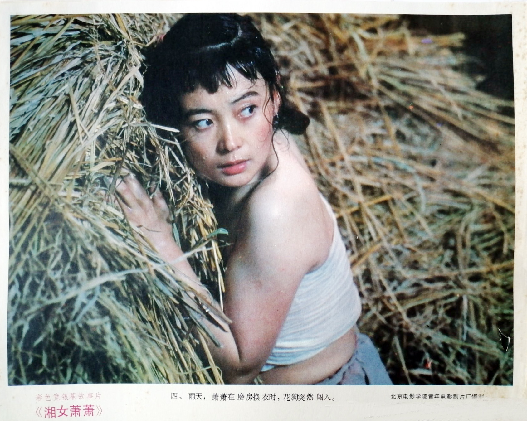 湘女萧萧剧照的剧照