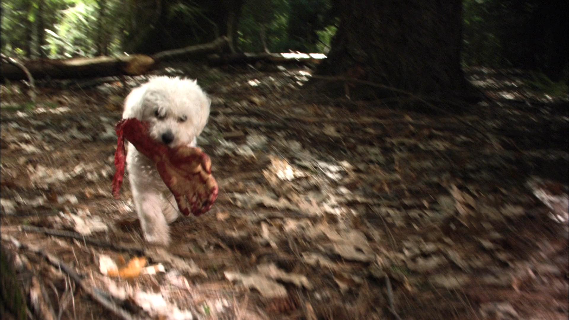 我说你做剧照的剧照